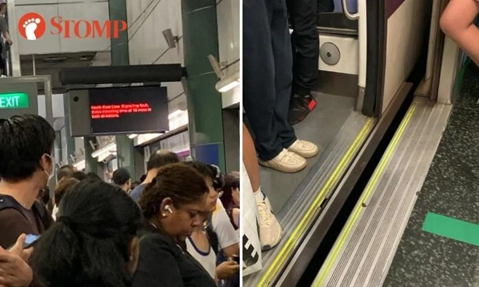 Morning NEL delay: 'Train seemed to stop very suddenly, made a bunch of people almost fall'