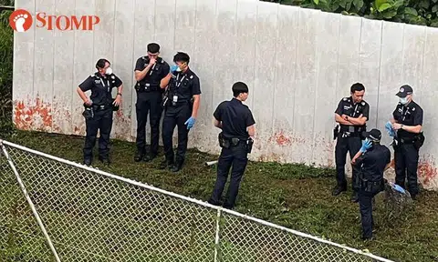 'Badly decomposed' body of 49-year-old man found outside Republic Polytechnic