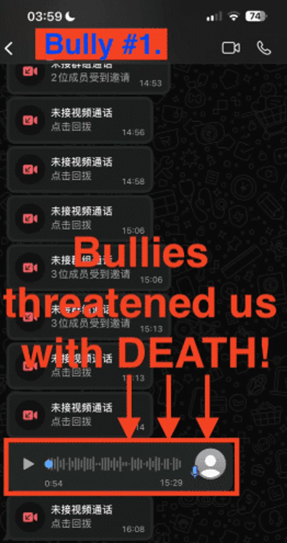 In the Facebook post on Aug 14, Ms Ni Yin detailed the various instances of bullying her daughter faced, accompanied by an audio recording of threats levelled against her and her family.