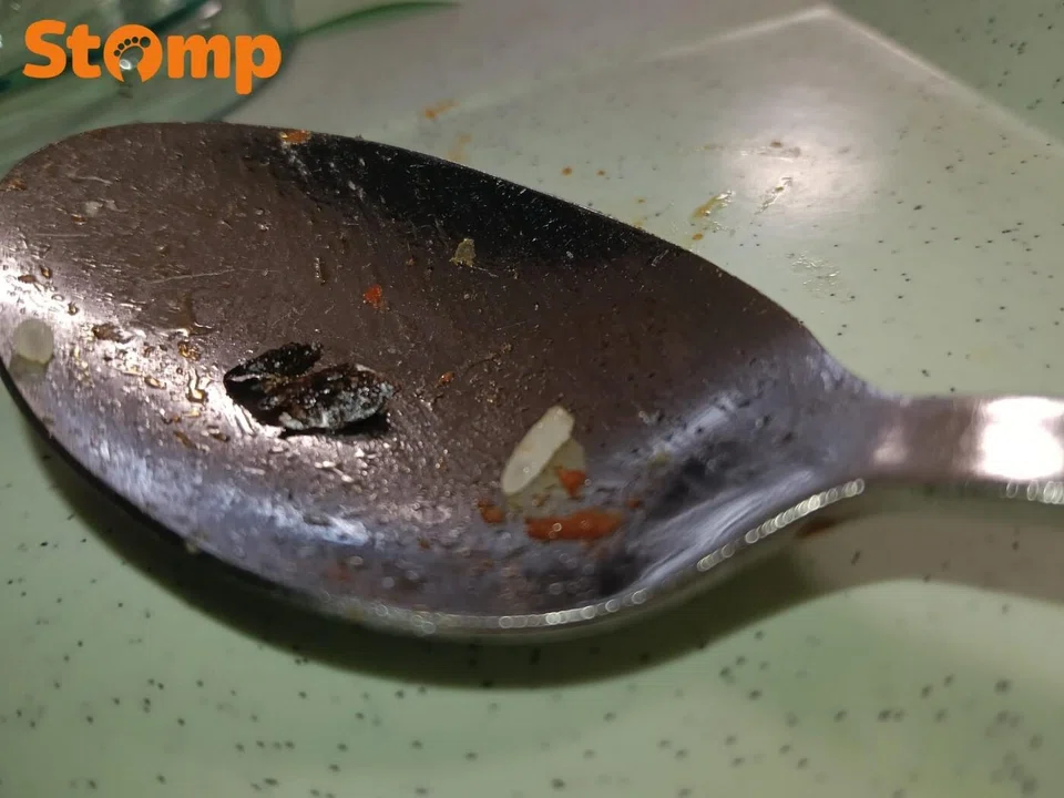 patient claims he found cockroach in hospital meal, but it’s ikan bilis