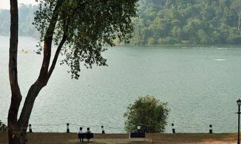 Man dies after suffering heart attack while jogging in MacRitchie Nature Trail