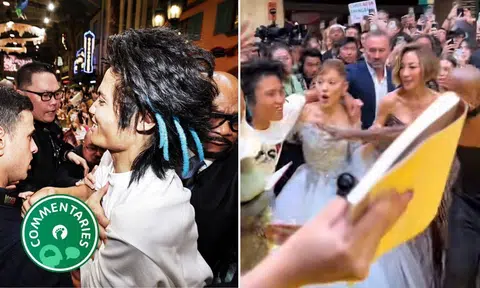 Johnson Wen grabbed actress Ariana Grande at a Wicked: For Good premiere in Singapore
