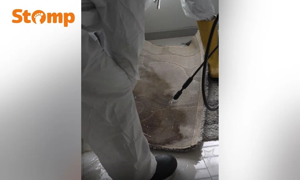 trauma cleaning