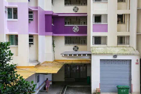 Some Tiong Bahru residents upset about HDB blocks being repainted a 'gaudy' purple without vote