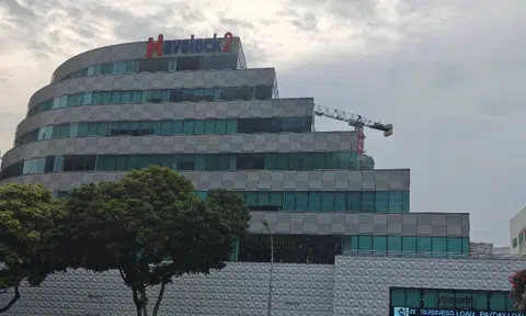 woman arrested for hurting child at havelock shopping mall
