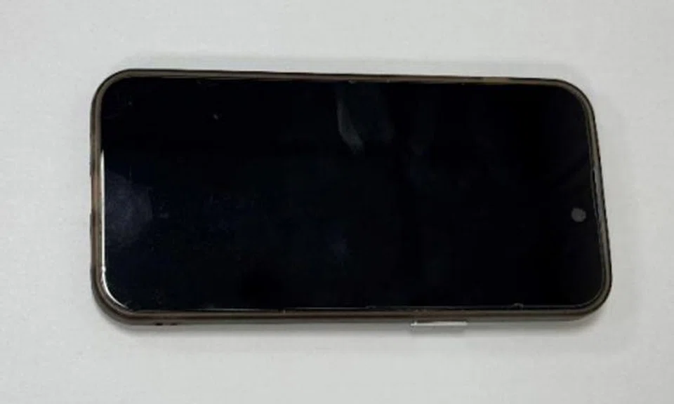 Woman accosted by stranger who snatched her handphone and fled at River Valley Close