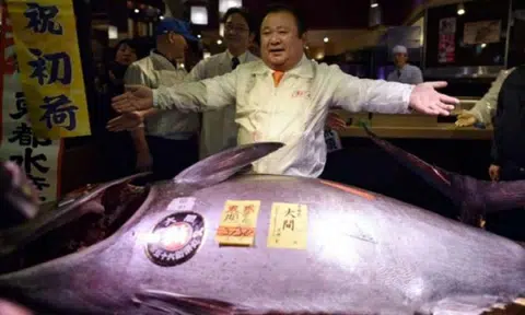 Nice catch! Japanese 'Tuna King' pays more than S$900,000 for 212kg bluefin tuna