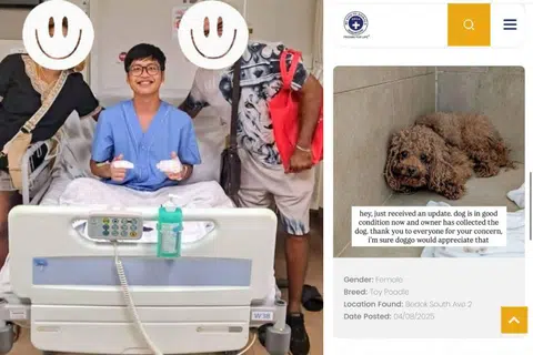 'Our young hero': NSF suffers multiple bites while rescuing dog from traffic accident