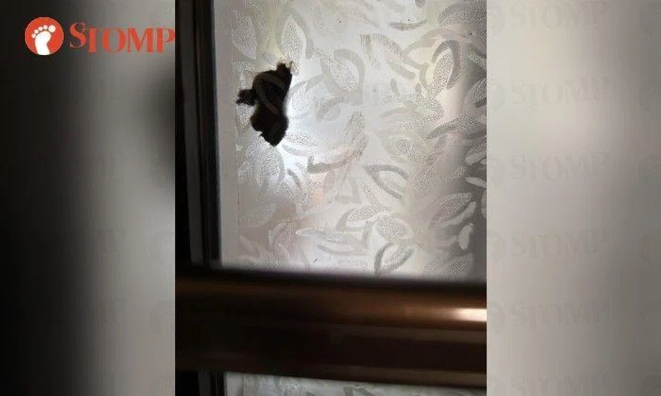 The Stomper shared a photo of what she said was human waste stuck on the outside of the frosted glass window pane.