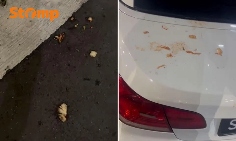 Food scraps thrown on BMW in Hougang