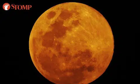 What a gorgeous full moon spotted by Woodlands resident on Vesak Day!