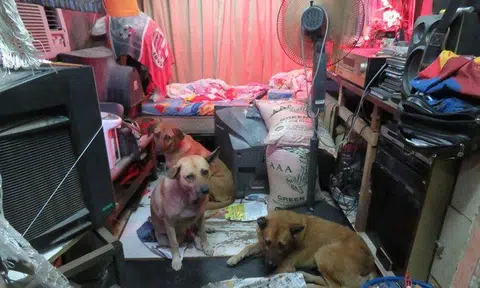 Interior of the shipping container where one of the foreigners was staying in. PHOTO: AVA