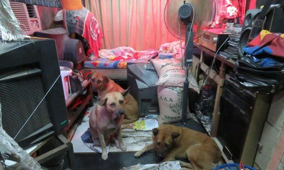 Interior of the shipping container where one of the foreigners was staying in. PHOTO: AVA