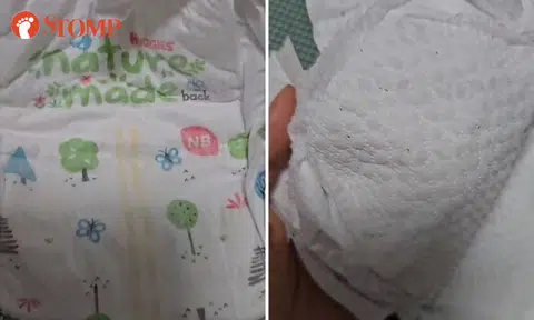 Mother shocked to find baby's diaper crawling with bugs, Huggies says it's an isolated incident