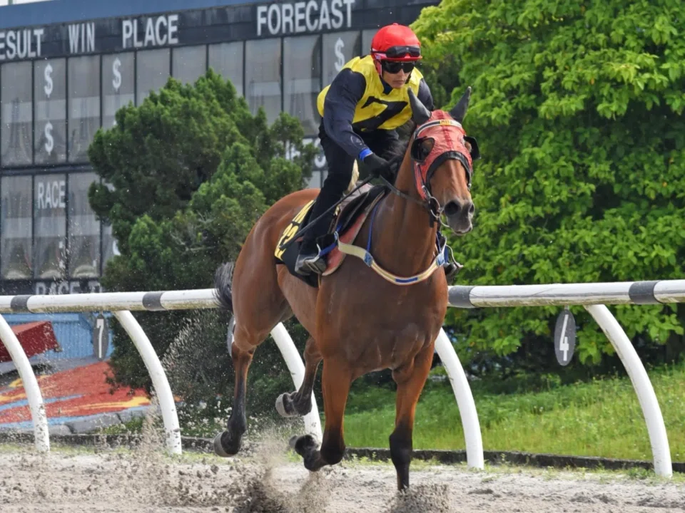Jockey Mohd Zaki enjoying an armchair ride on the David Kok-trained Don’t Forget Boss at the Sungai Besi barrier trials on April 22.