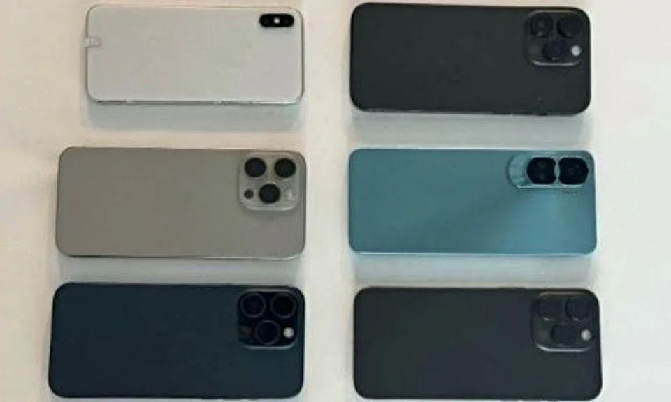 They made several unauthorised transactions of luxury goods and mobile devices amounting to more than $28,000 in Singapore.