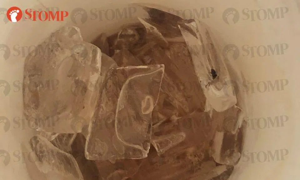 Student 'not loving it' after finding fly in iced Milo from McDonald's at United Square