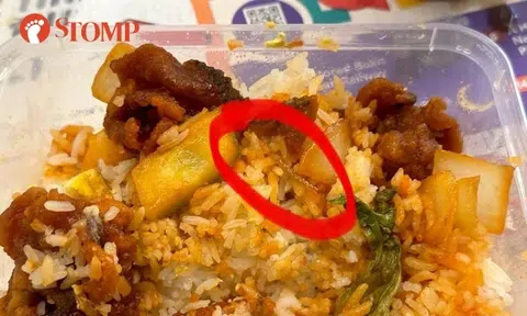 'I thought it was ikan bilis': Woman finds deep-fried 'worm' in her sweet & sour fish from Clementi stall