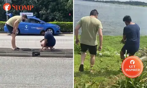 Strangers work together to rescue turtle stranded in middle of road near Yishun Dam