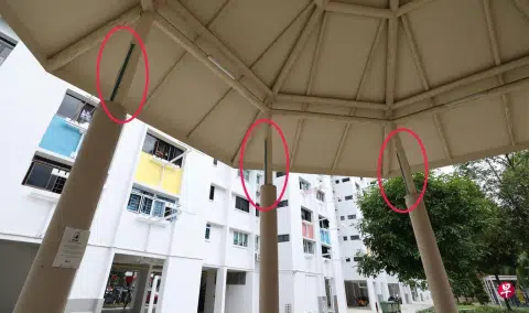 Bird lovers ruffled by sudden ban on hanging cages in Bedok North
