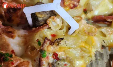 Pizza Hut customer 'disappointed and disgusted' after cockroach discovery, SFA looking into case