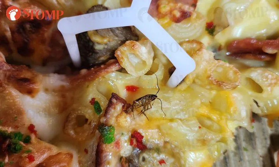 Pizza Hut customer 'disappointed and disgusted' after cockroach discovery, SFA looking into case