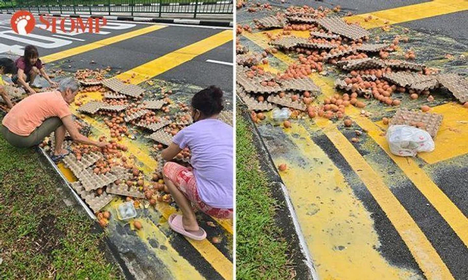Passers-by scrambled to pick up eggs that were spilled on the roadside along Corporation Drive. 