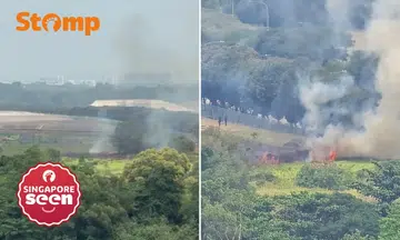 Punggol resident shocked by Seletar vegetation fire: ‘Alarming how quickly blaze grew’