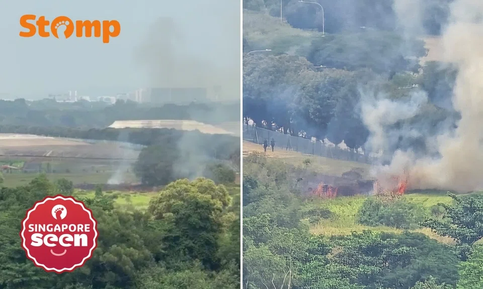 Punggol resident shocked by Seletar vegetation fire: ‘Alarming how quickly blaze grew’