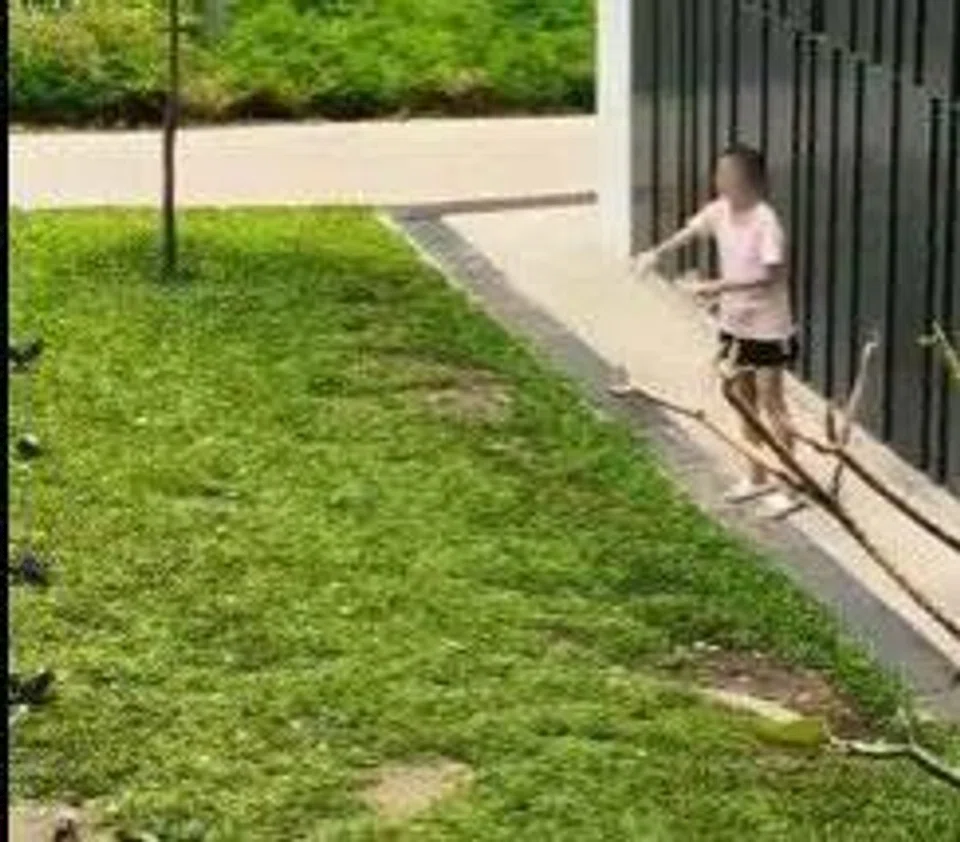 A video shared on Reddit shows the woman openly feeding a flock of pigeons.