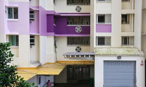 Tiong Bahru residents upset over 'gaudy' purple paint job, town council asked to pause works
