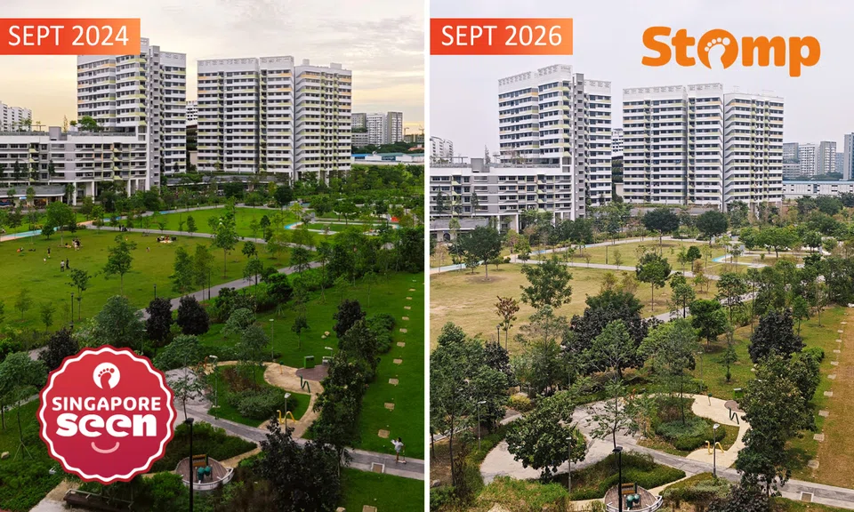 Tampines GreenCourt park maintenance feedback
