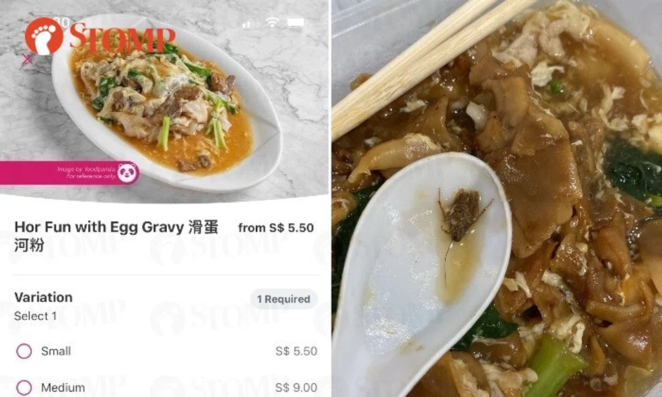 Stomper Jamie paid $5.50 for the hor fun with egg gravy. 