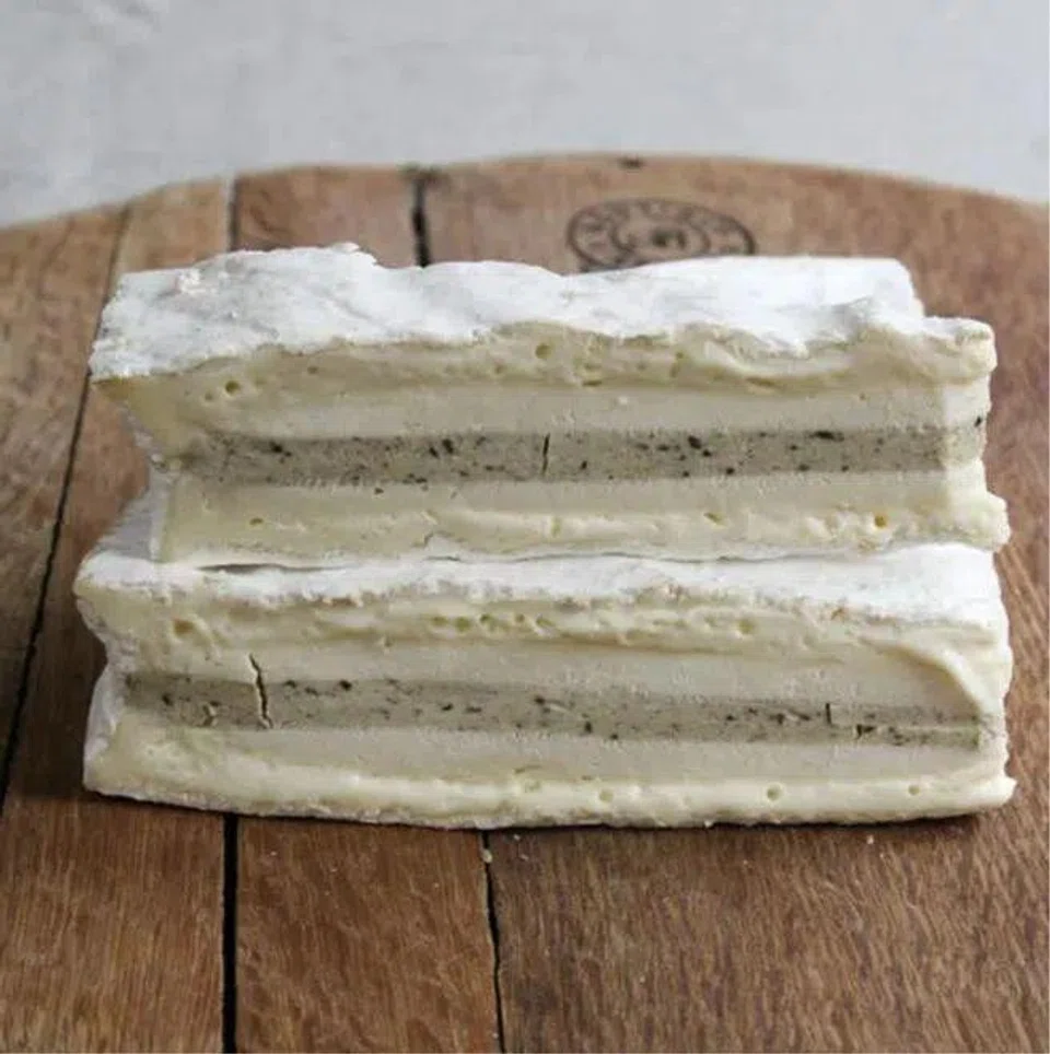 Listeria monocytogenes is foodborne bacterium that can cause food poisoning.