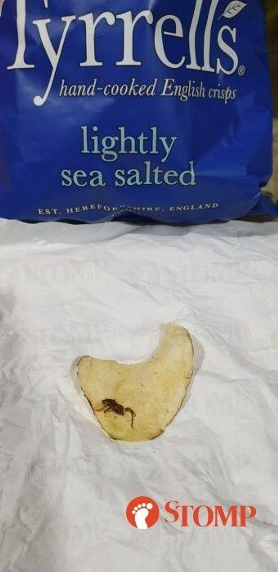 https://img.stomp.com.sg/s3fs-public/images/2023/03/insect_on_tyrrells_crisps_2.jpg