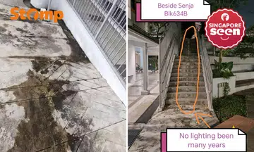mosquitoes and dirty floors at Senja Road