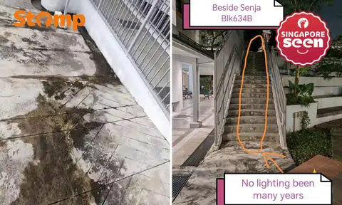 mosquitoes and dirty floors at Senja Road