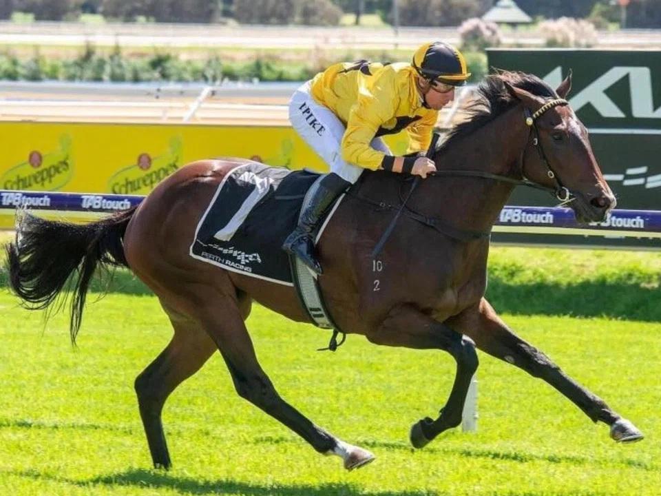 The Adam Durrant-trained Snitzalatte (William Pike) recording an easy win on his debut in a Maiden race over 1,000m at Ascot on March 19. 