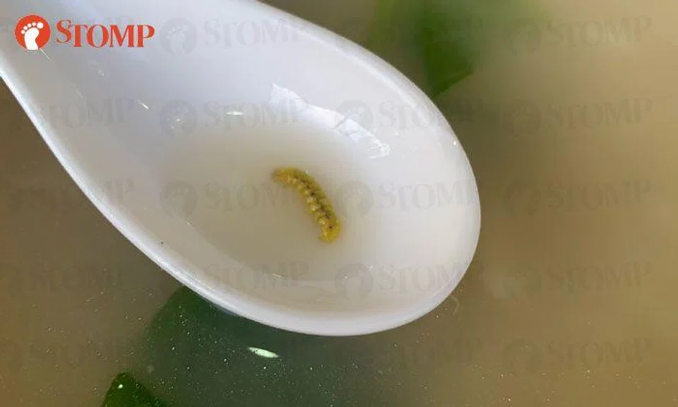 Woman finds extra grub in 21-month-old son's porridge