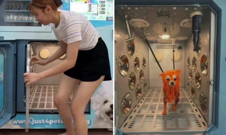Woman gets into dog-washing machine to show it's safe