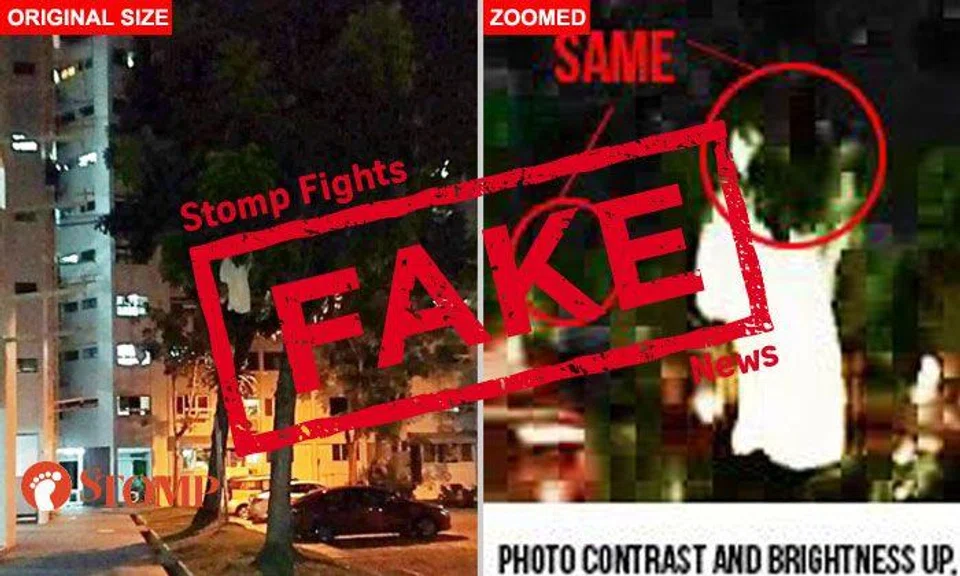 'Pontianak' on tree at Bukit Batok? Here's why Stomp thinks it's not