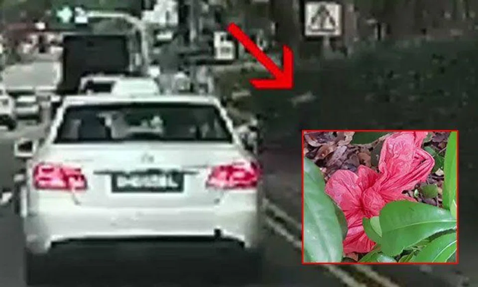 Cabby who threw rubbish from Mercedes-Benz taxi along Penang Road assisting NEA with investigation