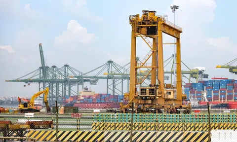 trump 12.5 per cent tariff over alleged forced labour ban violation