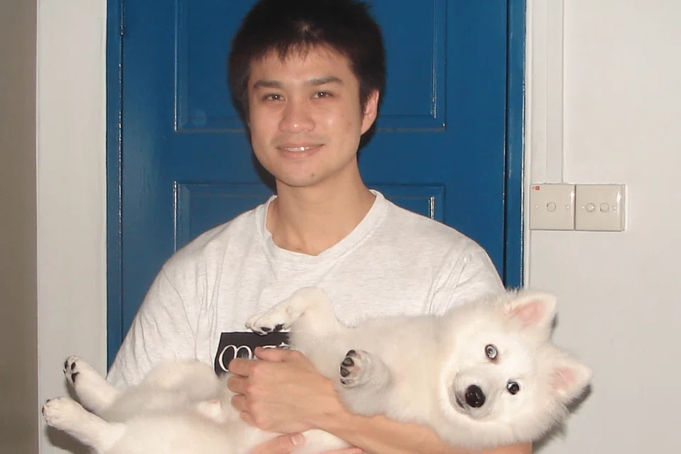 japanese spitz