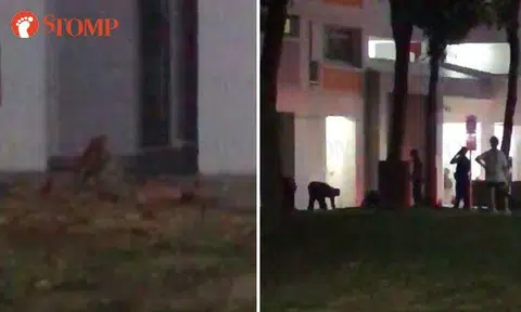 51-year-old man arrested after he's found lying down and shouting at foot of Jurong West block