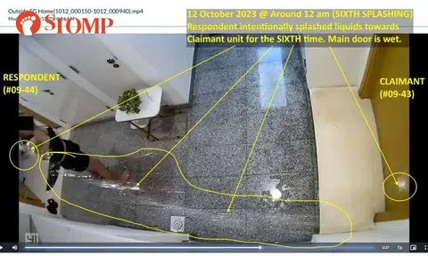 Neighbour keeps splashing water at elderly couple's condo unit despite police reports, court order