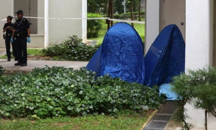 Woman found dead with baby at foot of HDB block had left note to child ...