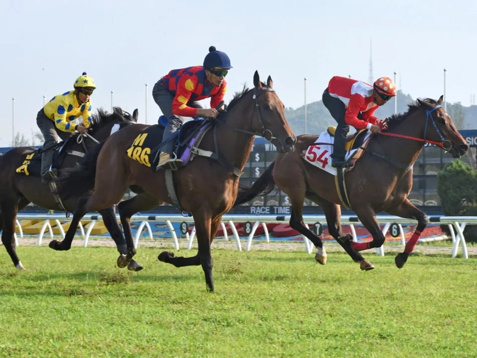 The Wild Chief (Shafiq Rizuan, M186) beating Dragon Master (Nuqman Rozi, inside) at the Sungai Besi barrier trials on Feb 12.
