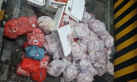 Man fined $8,000 after truck found with over 1,200kg of illegally imported frozen poultry