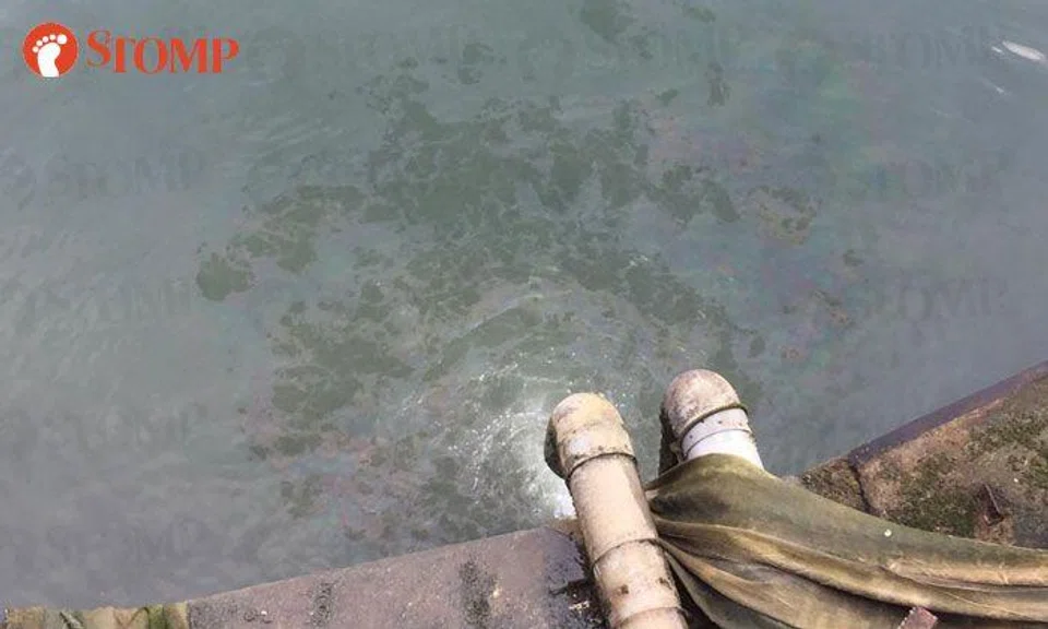 NEA investigating discharge flowing into sea from drain at Punggol